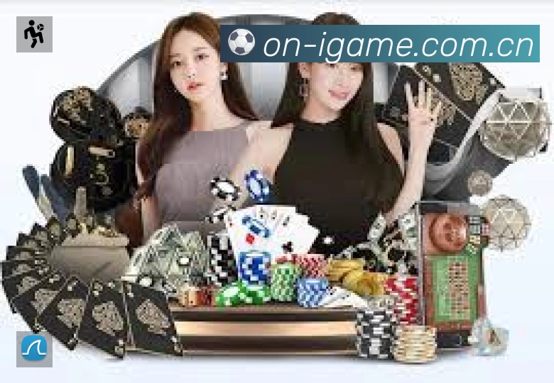 安全使用与支持流程